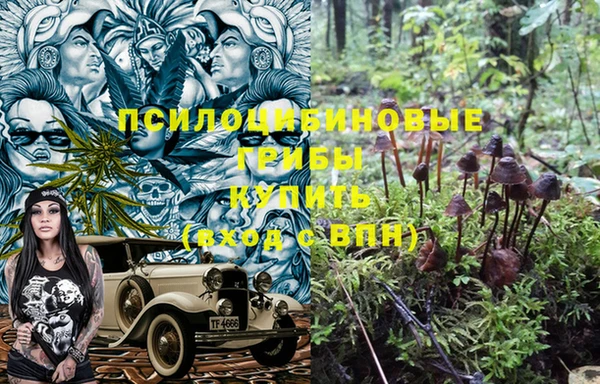 не бодяженный Лабытнанги