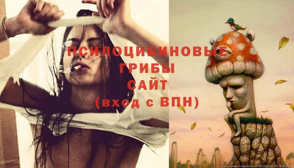 марки nbome Ладушкин
