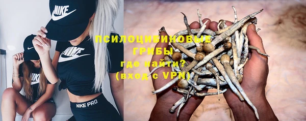 ALPHA PVP Новый Уренгой