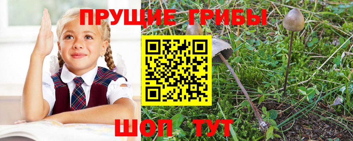 Псилоцибиновые грибы мицелий  Южноуральск 