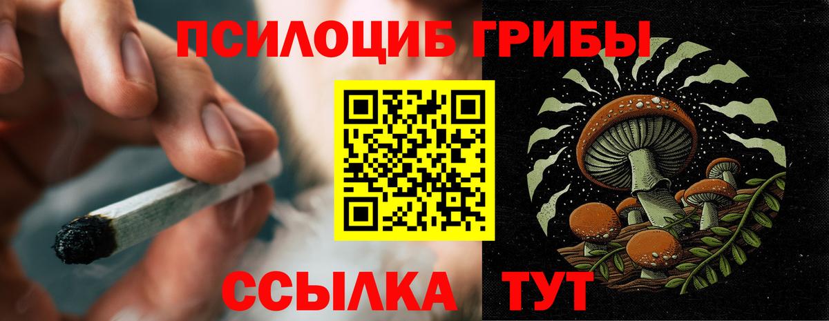Псилоцибиновые грибы прущие грибы Южноуральск
