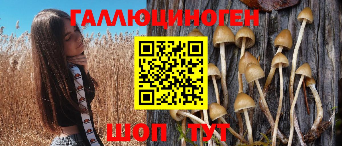 Псилоцибиновые грибы мицелий Южноуральск